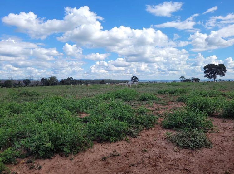 Área para loteamento em Pouso Alegre MG