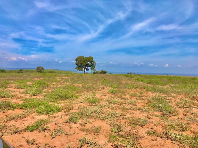 Área para loteamento, em João Pinheiro MG